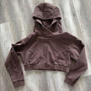 Alphalete Cropped Hoodie, Size Medoum